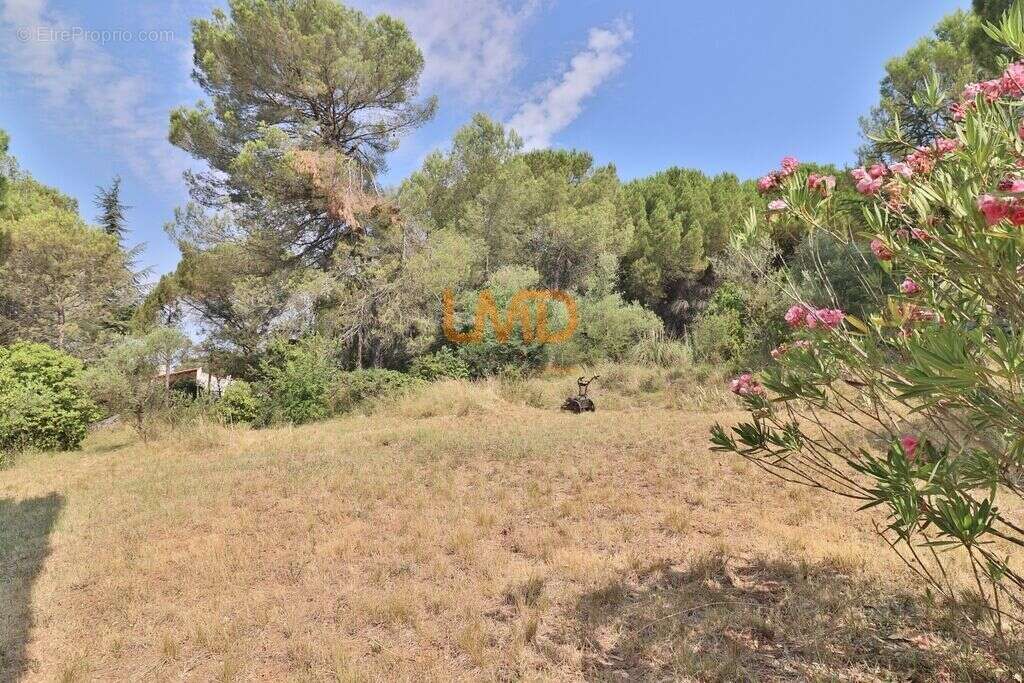 Le Val: terrain constructible de 1300m2 - photo 2