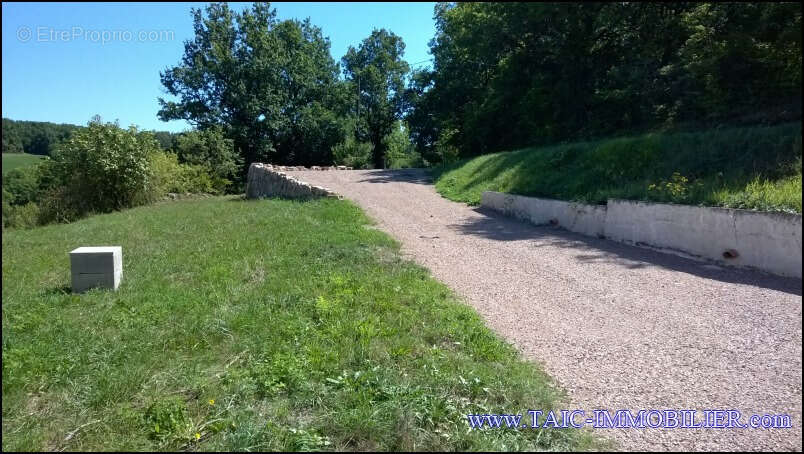 Maison à CORDES-SUR-CIEL