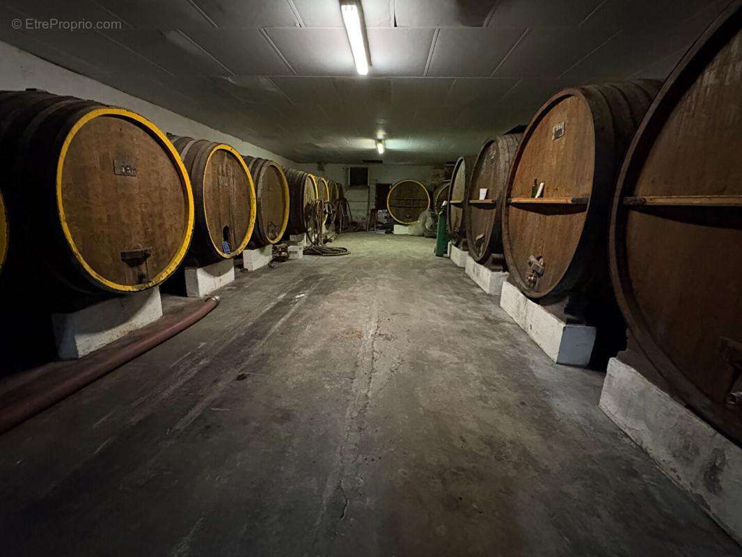 Domaine d'exception sur les coteaux de sainte croix du mont : un fort potentiel entre ciel et vignes - photo 13