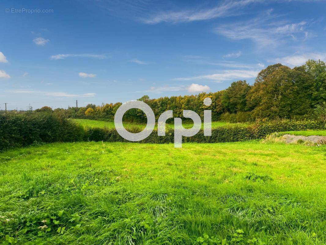 Terrain à NABRINGHEN