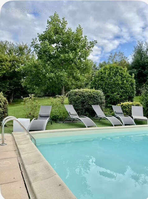 Maison de plain-pied avec un gîte, grand terrain, piscine à 20 minutes au Sud d'Auch - photo 15