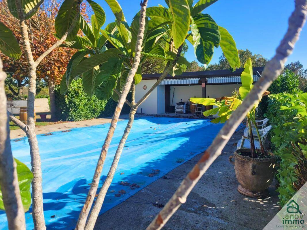 Maison à GAILLAC-TOULZA