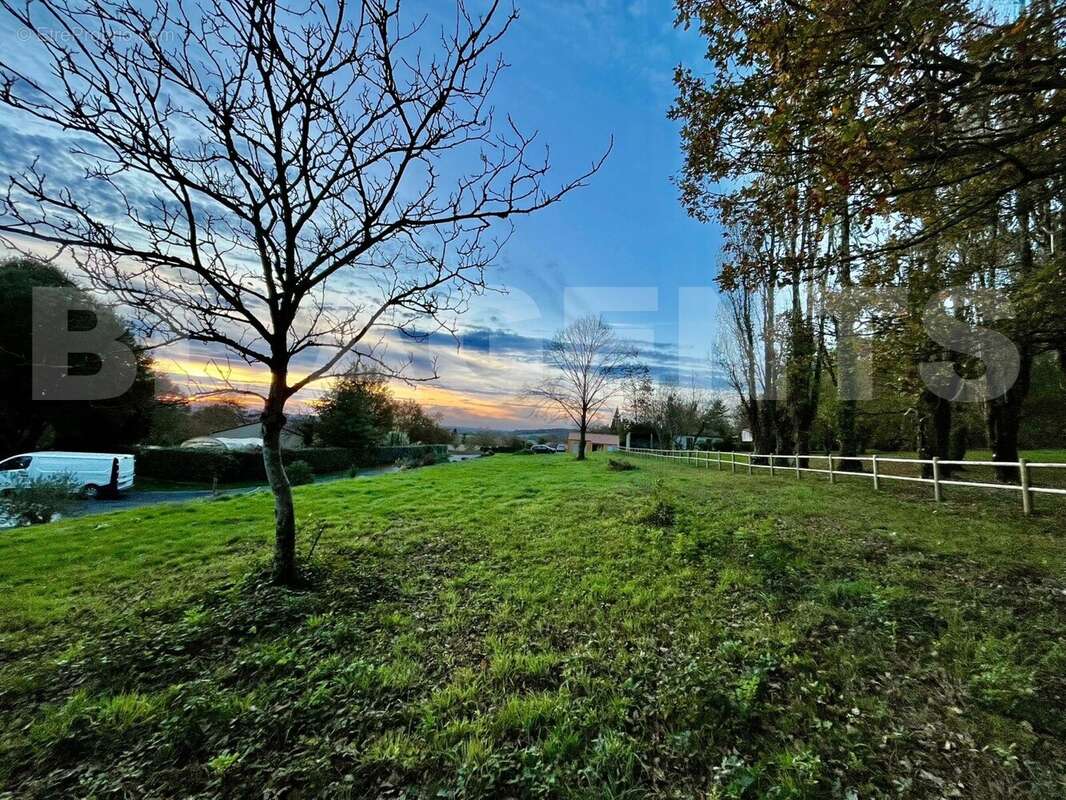 IMG-20251115-WA0004 - Terrain à CHEFFOIS