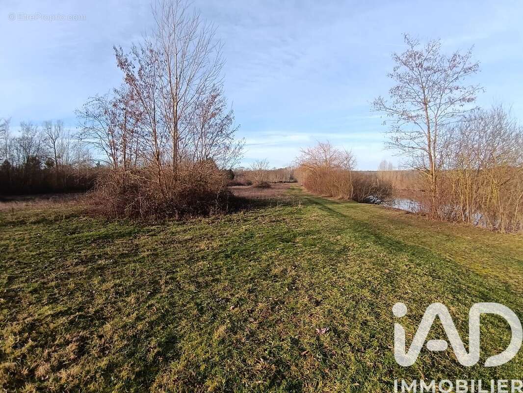 Photo 4 - Terrain à APPOIGNY