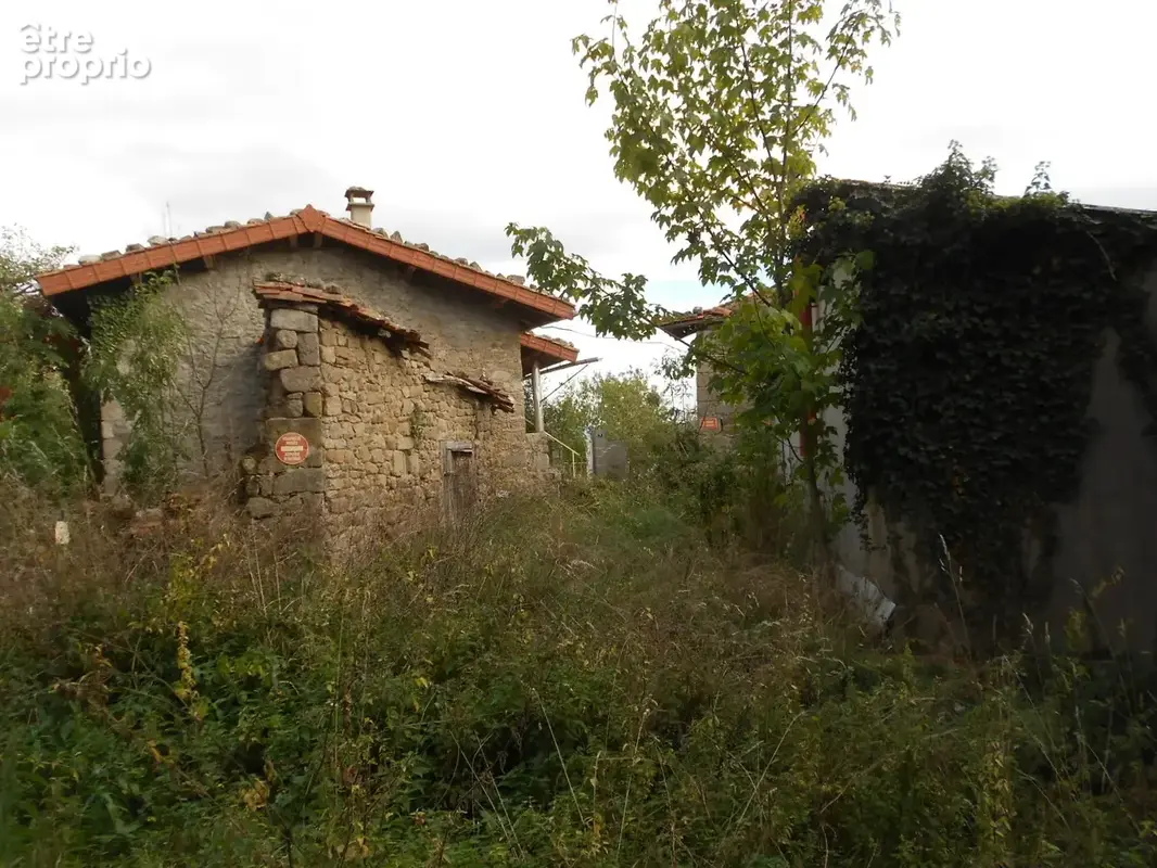 Lieu-dit Meymont Olliergues, ensemble de 3 maisons et dépendances sur parcelles de 8009 m2 - photo 14