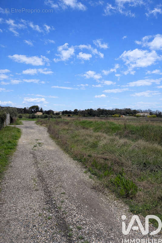 Photo 3 - Terrain à FONS