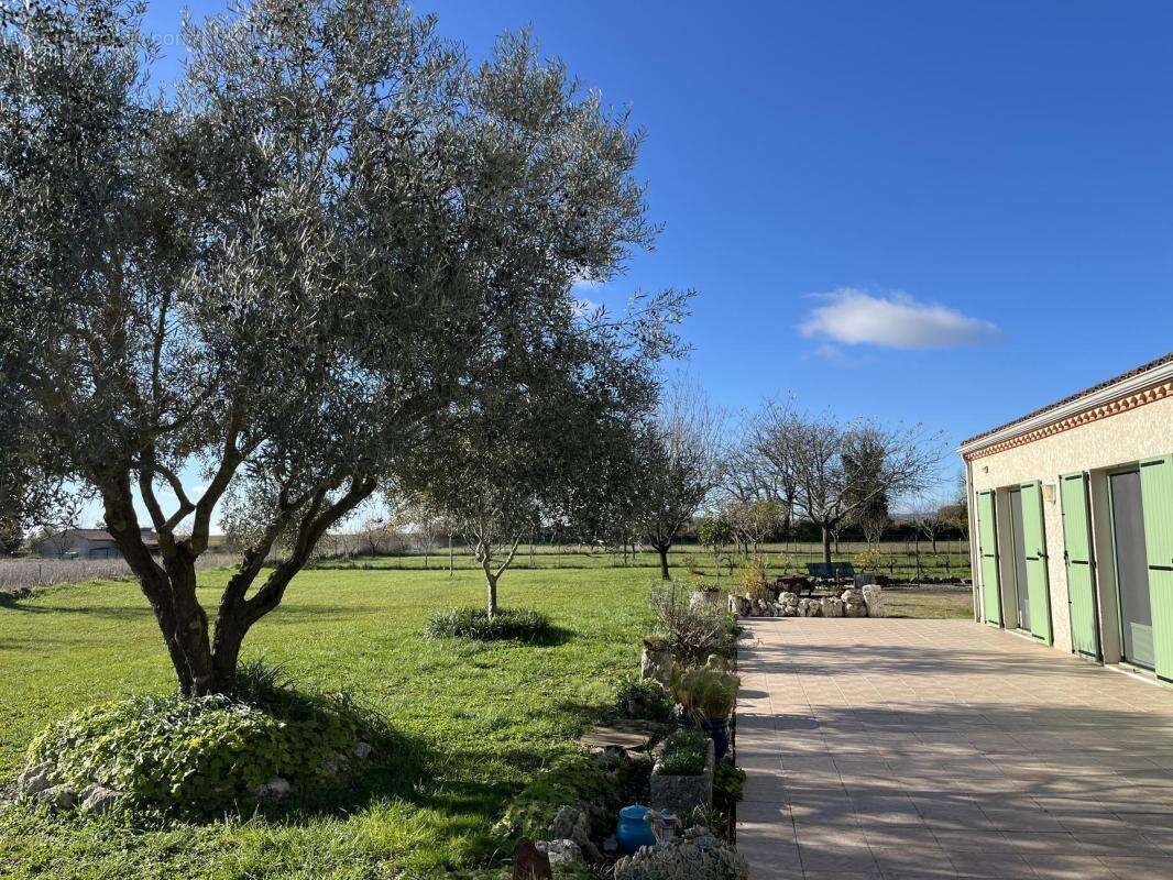 Maison à CORDES-SUR-CIEL