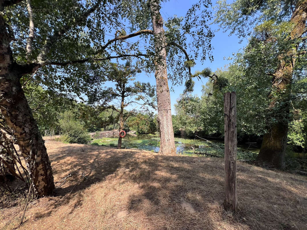 Maison en pierre, 3 chambres, terrain à perte de vue - photo 12