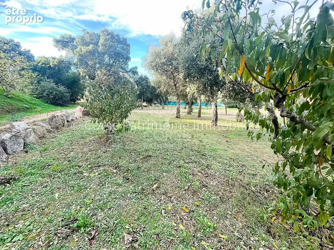 Terrain de 1020 M2 plage à pied - photo 5