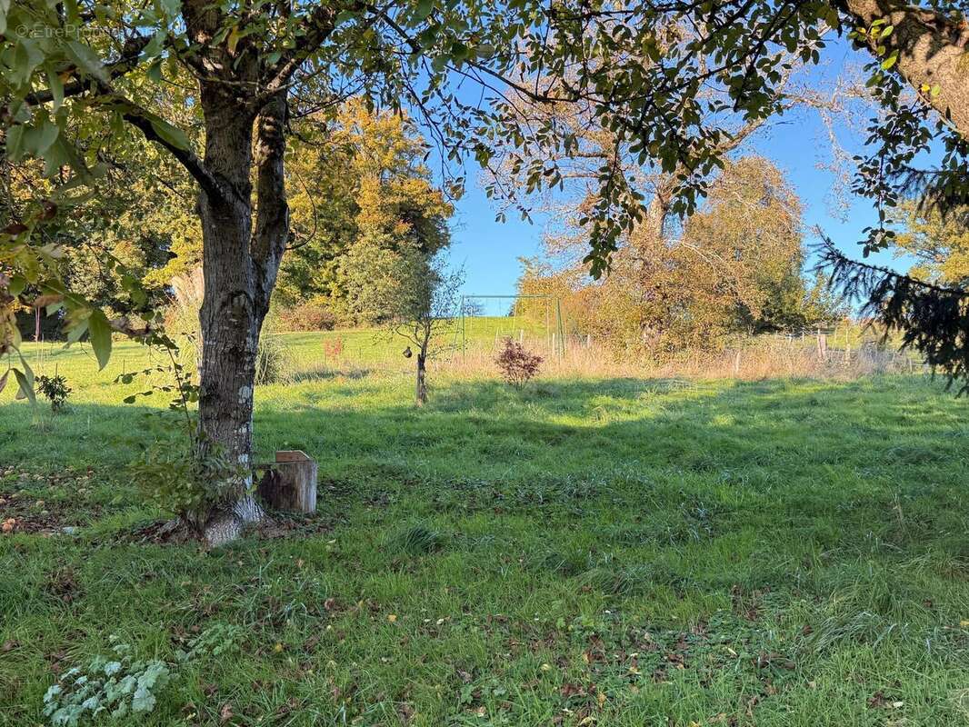 Photo 2 - Maison à RIOZ