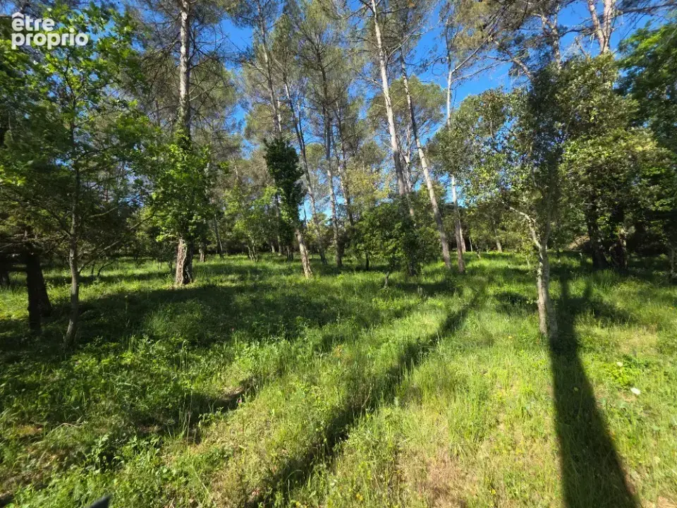 Terrain 874 m² à vendre à Gareoult (83136) - photo 3