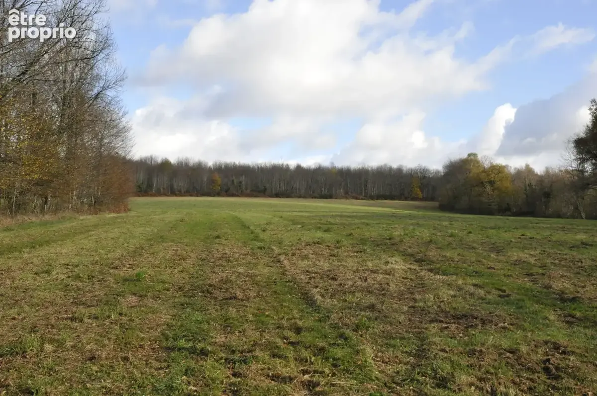 Terrain Agricole ou de Loisir d'un seul tenant, idéal pour chevaux ou animaux - photo 8