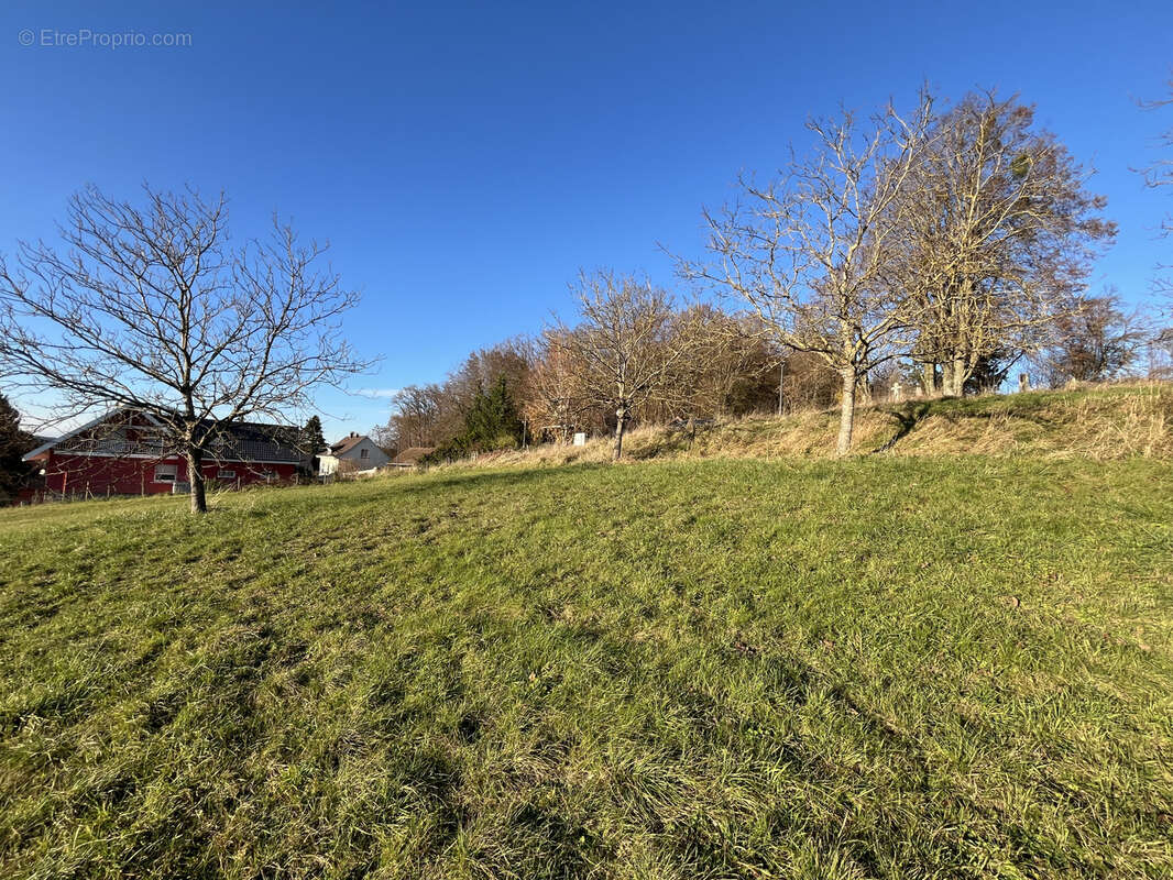 Terrain à WALDIGHOFEN