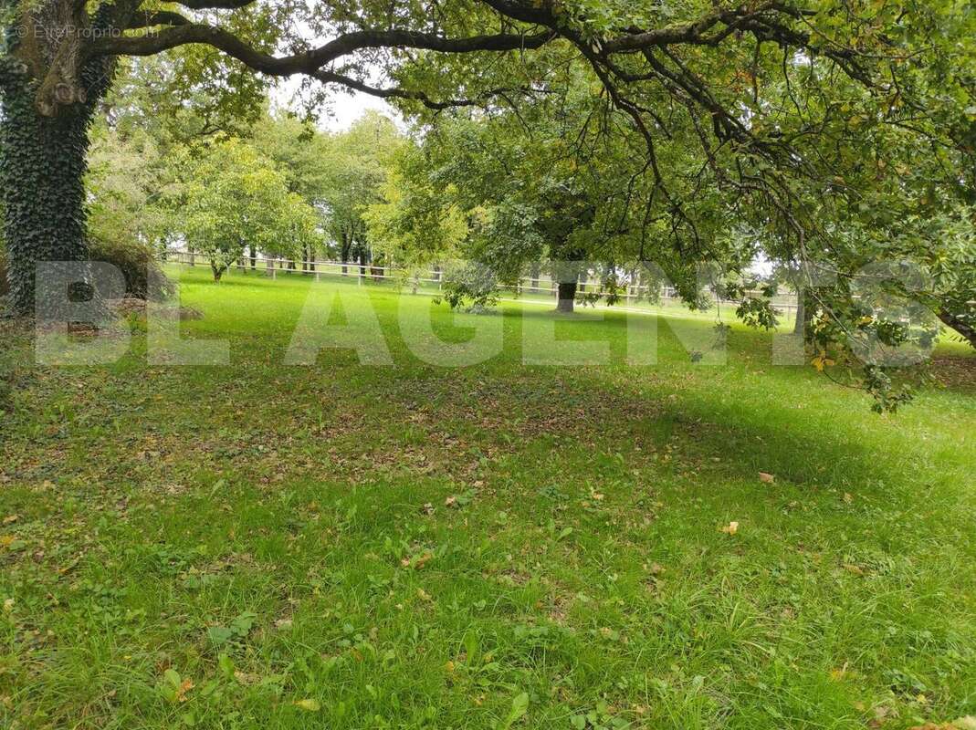 IMG_20250924_162702 - Maison à MONTOURTIER