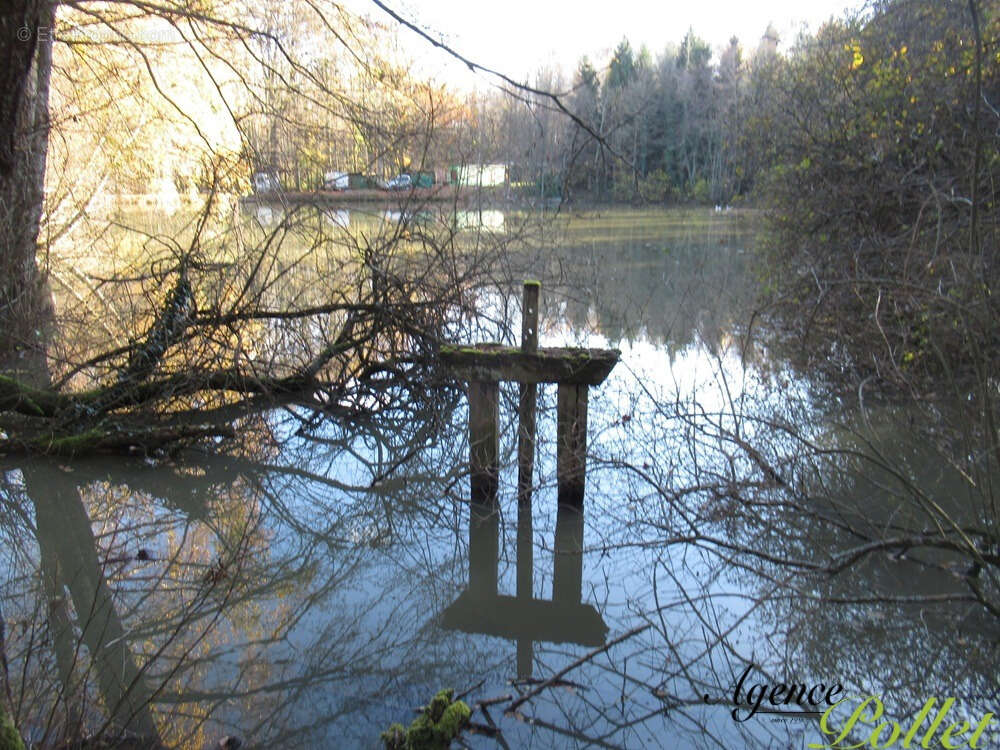 Terrain à VAILLY-SUR-SAULDRE
