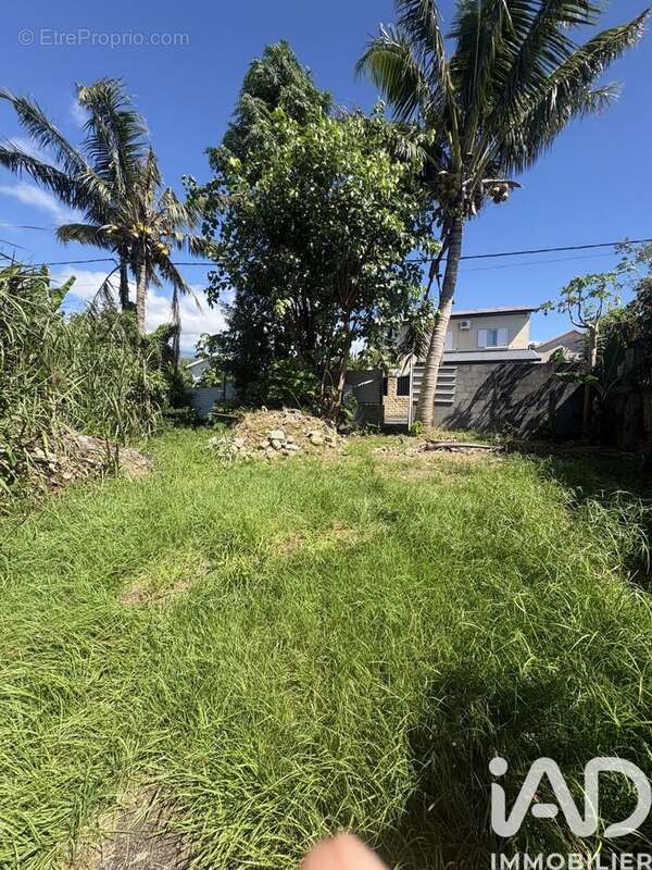 Photo 2 - Terrain à BRAS-PANON