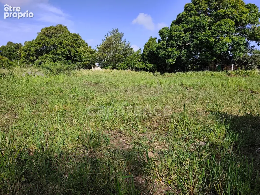 Terrain à vendre  SAINTE ROSE (971) - photo 3