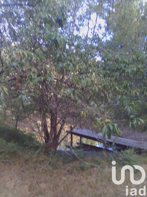 Photo 3 - Terrain à BAUGE