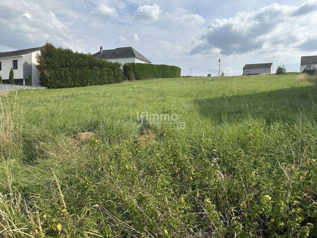 Terrain à THEDING