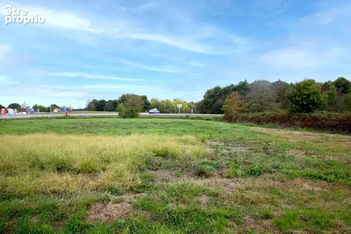 Terrain - 1 805 m² - Saint-Aubin-du-Cormier (35) - photo 6