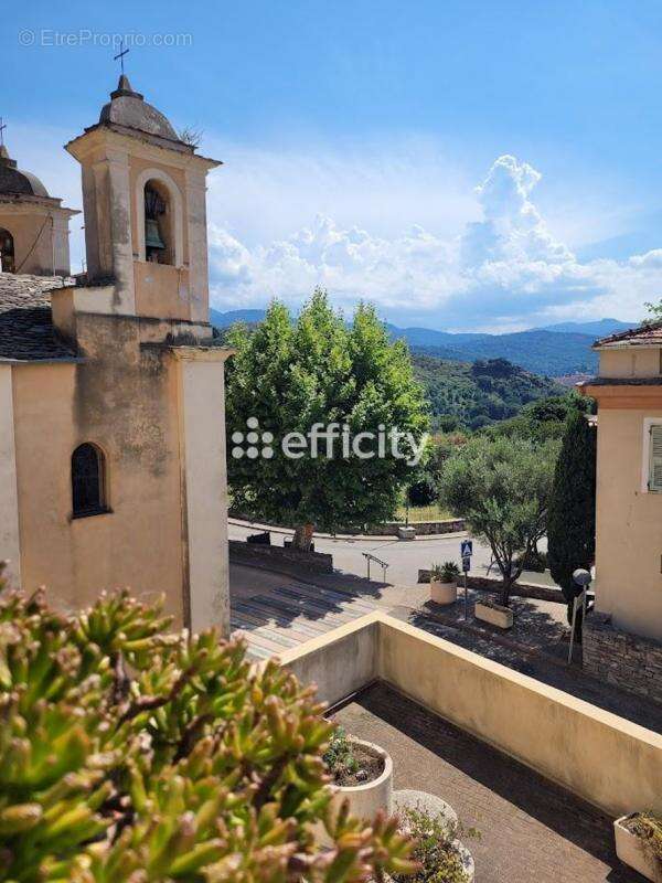 Appartement à OLMETA-DI-TUDA