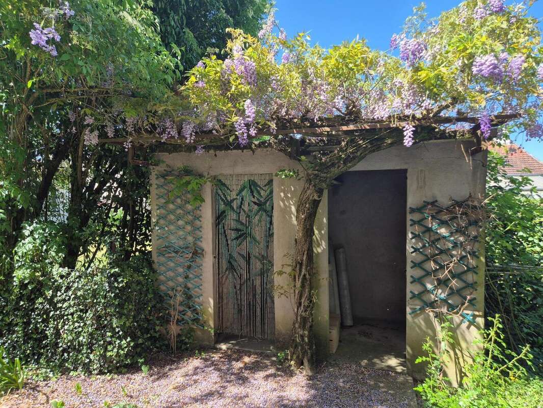 Photo 5 - Maison à ALBI