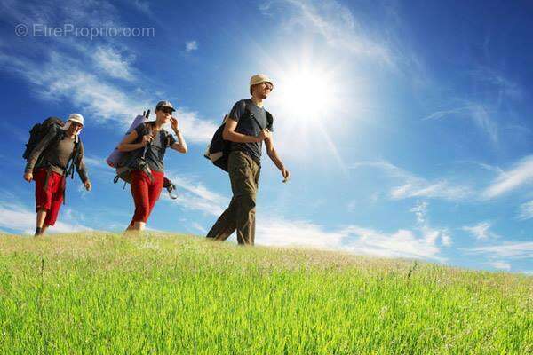 Commerce à SELONNET