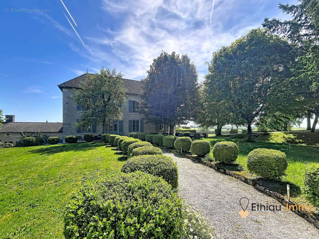 532 m² à Colombey-Les-Deux-Eglises  - photo 3