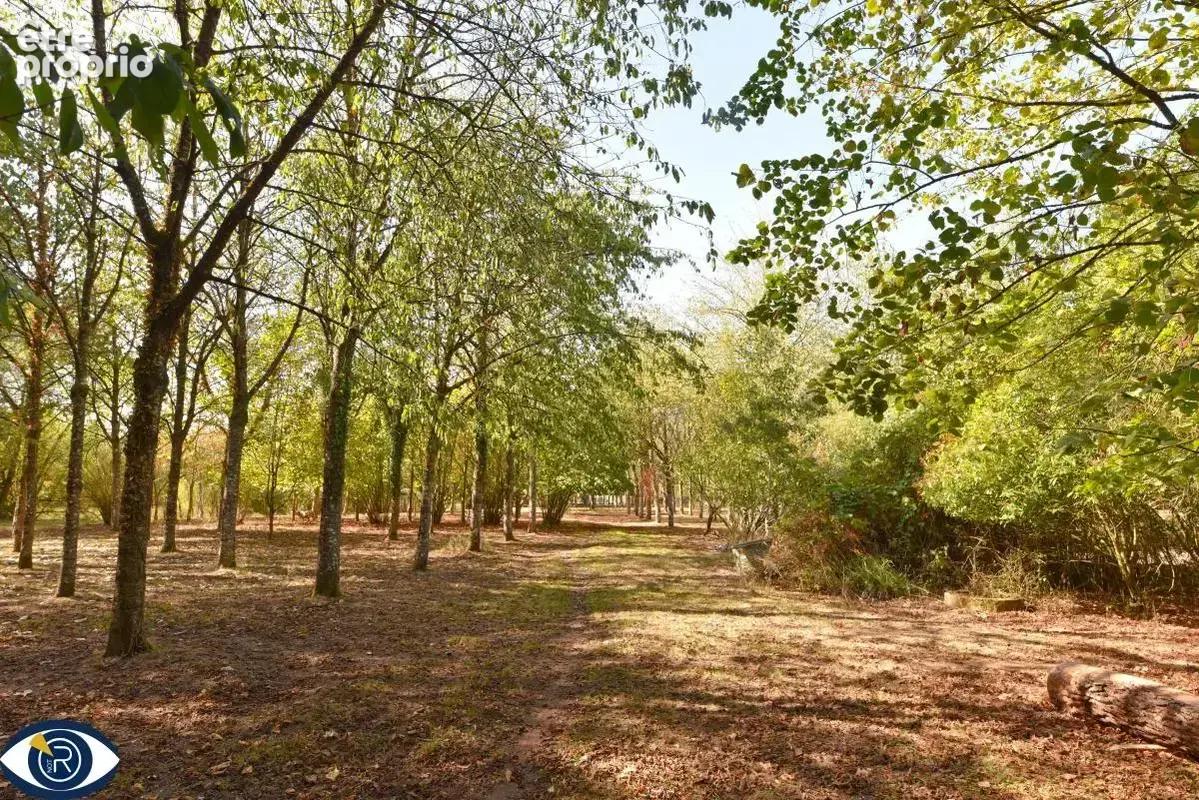 Terrain 29 107 m² à vendre à Vaiges (53480) - photo 2