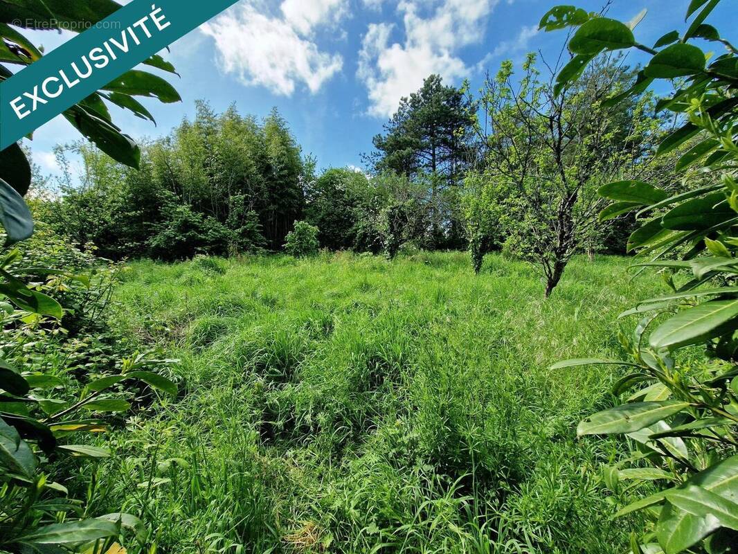 Photo 1 - Terrain à CURZON