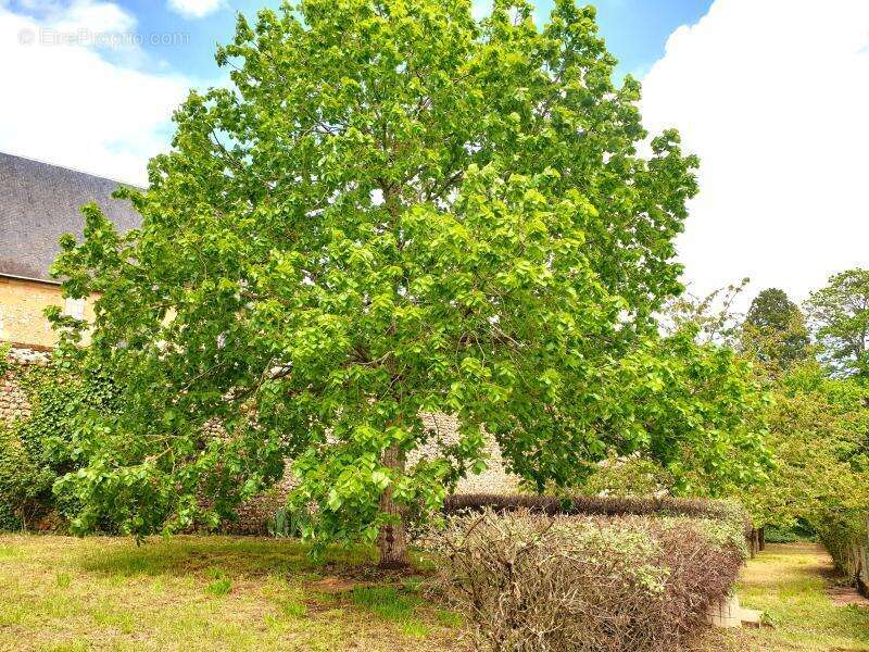Maison à CRECY-COUVE