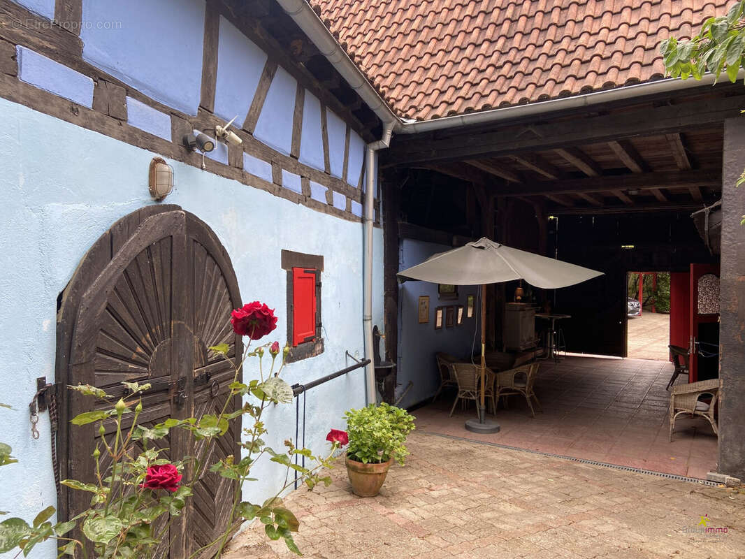 Maison 378 m² à Bischwiller  - photo 6