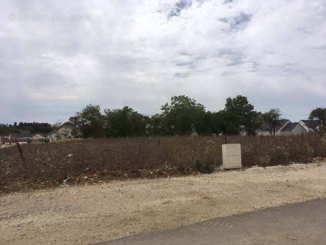 Terrain à SAINT-FLORENT-SUR-CHER