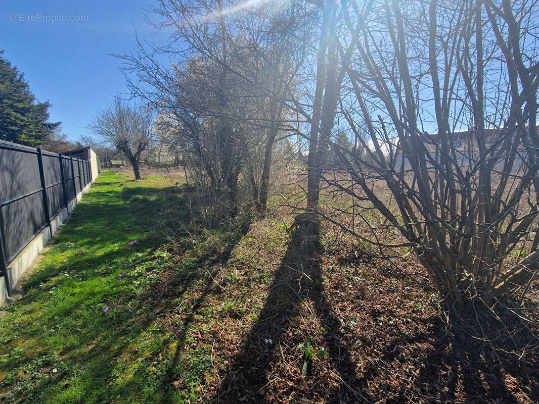 Terrain Barbey 2756 m2 - photo 4