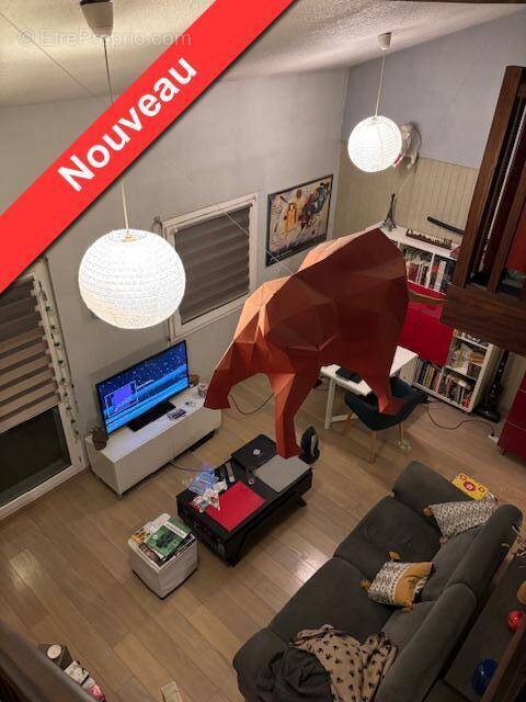   - Appartement à TOULOUSE