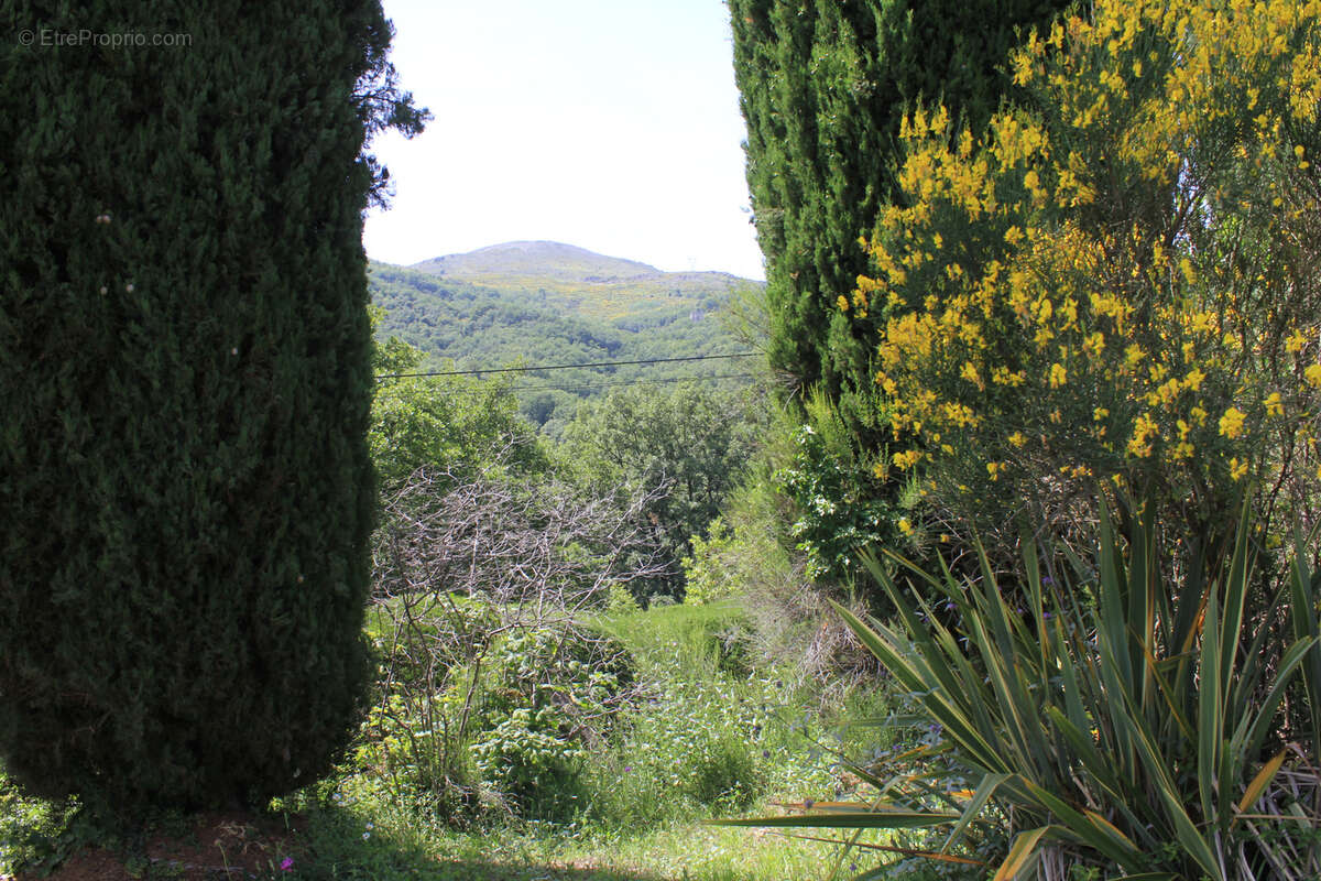 Vence - terrain à bâtir - 2034m2 - photo 14