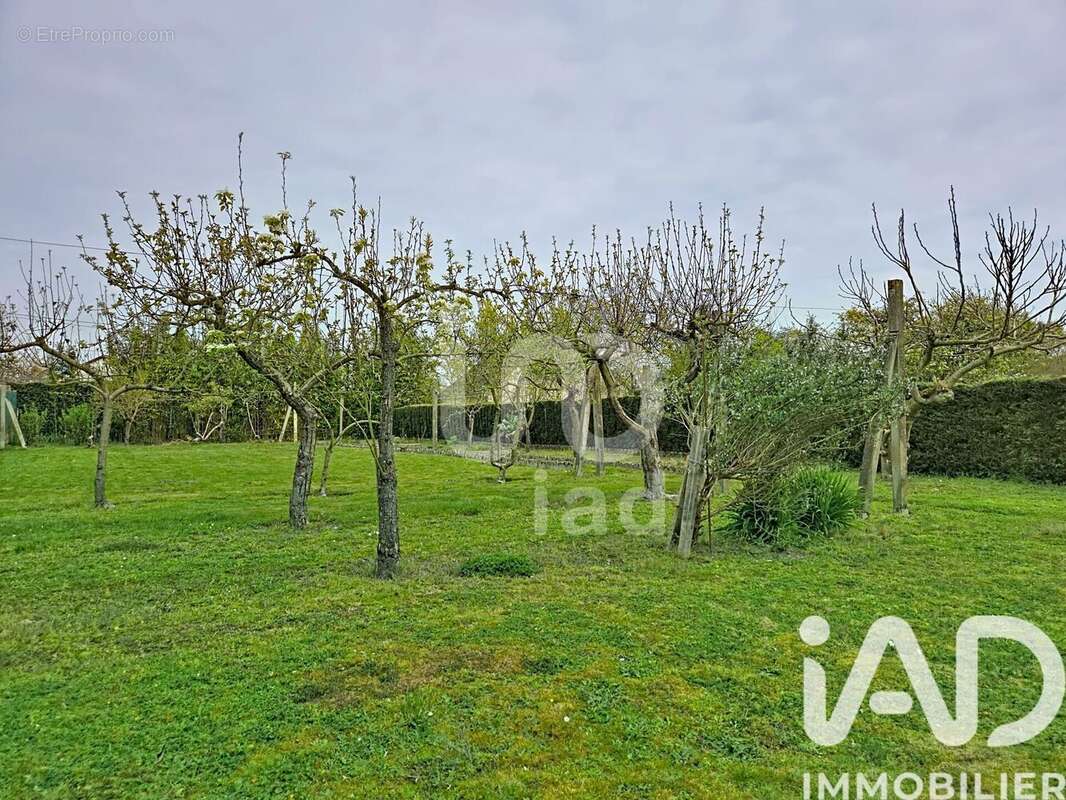 Photo 3 - Maison à VIERZON