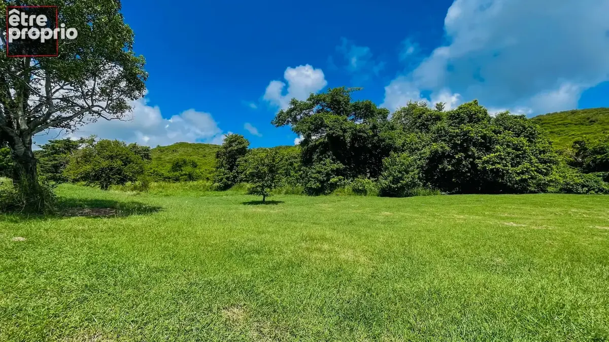 Terrain de 1 090 m2 à vendre - Sainte-Anne - photo 4