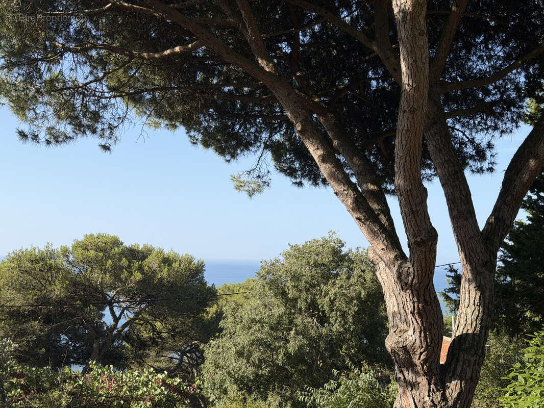 Terrain à SETE