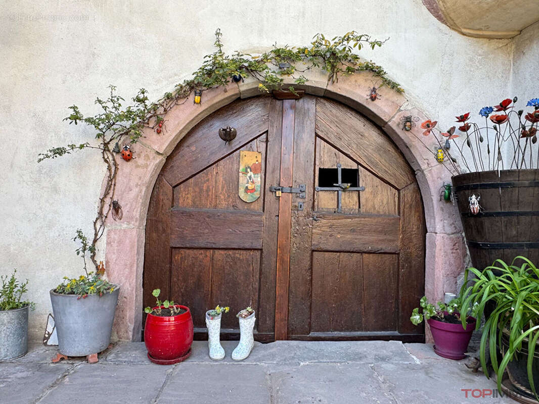 Maison à RIBEAUVILLE