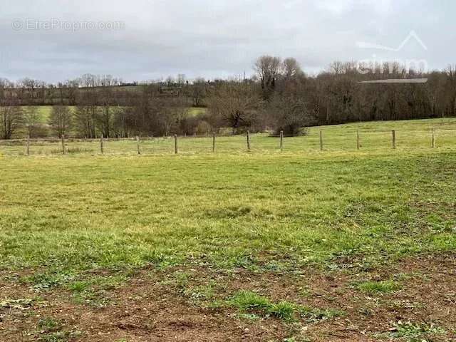 Terrain à SAINT-PIERRE-ROCHE