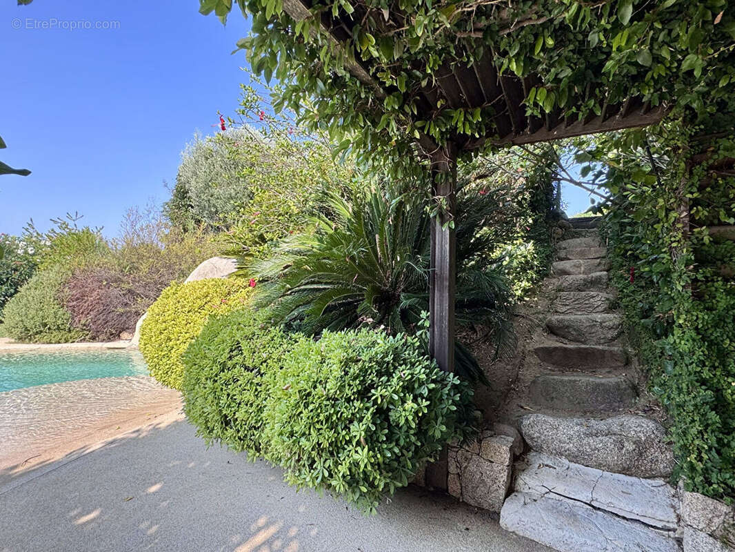 Maison à ALBITRECCIA