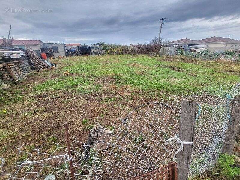 Terrain à MONTROND-LES-BAINS