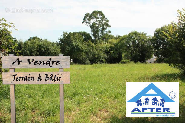 Terrain à EMBERMENIL
