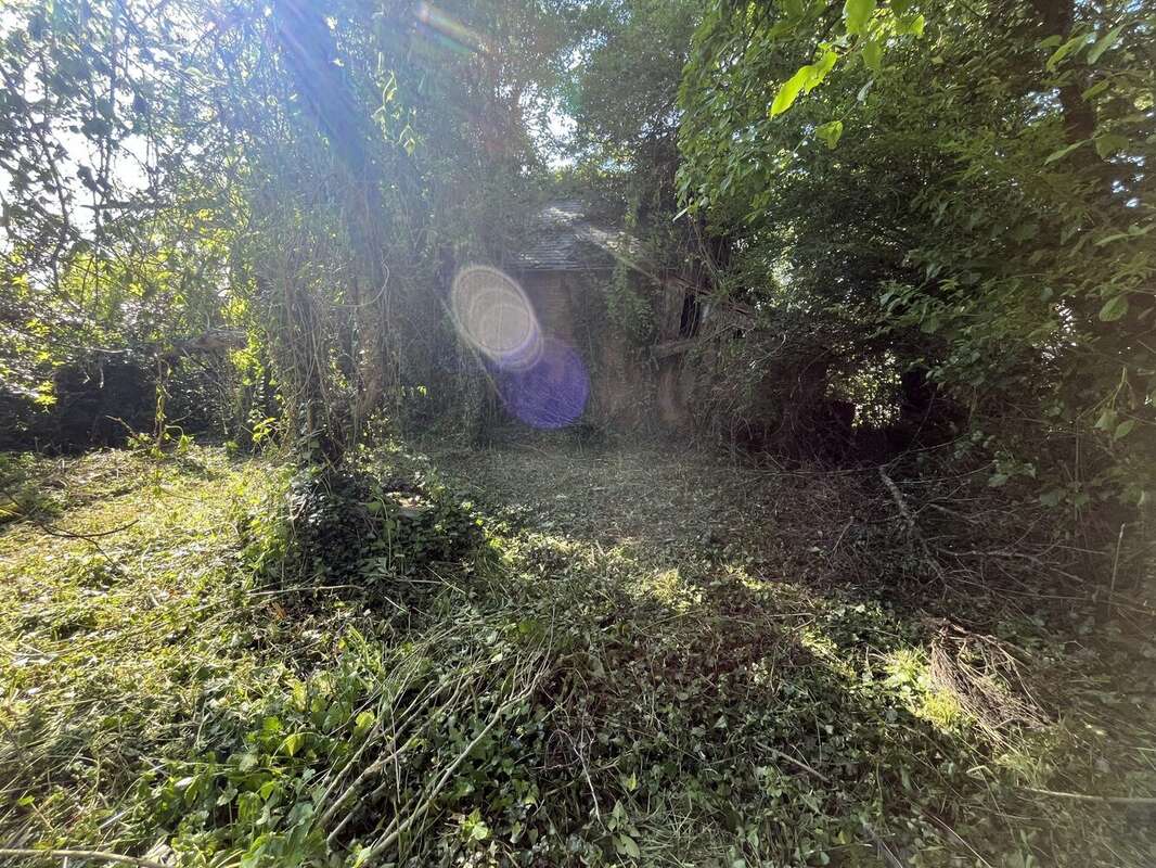 Terrain à SAINT-BENIN-D&#039;AZY