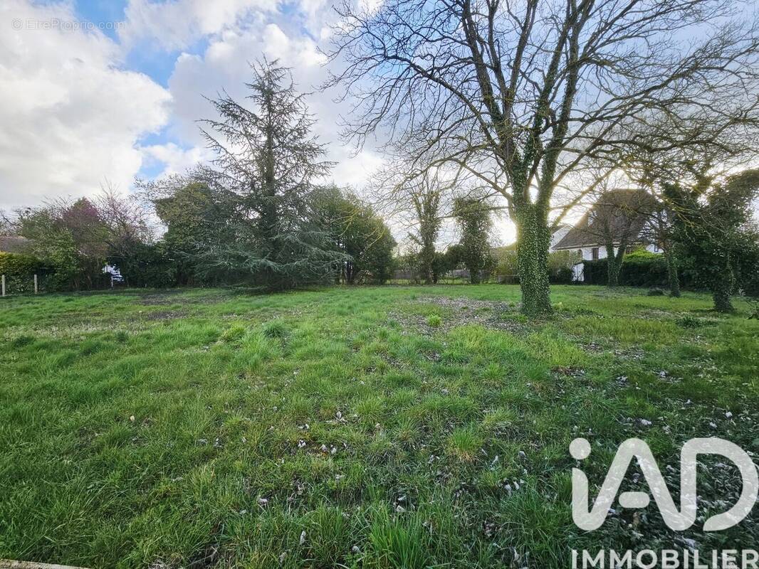 Photo 1 - Terrain à MAROLLES-SUR-SEINE