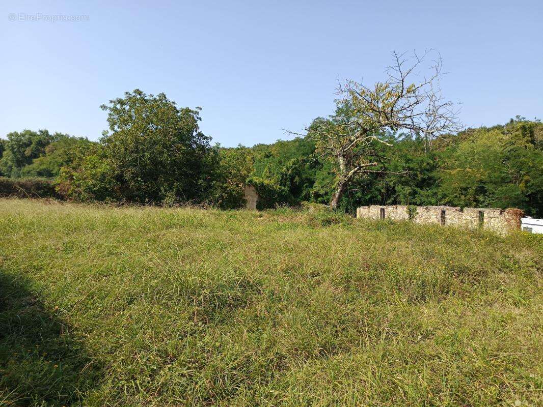 Terrain constructible de 1195 m² - photo 5