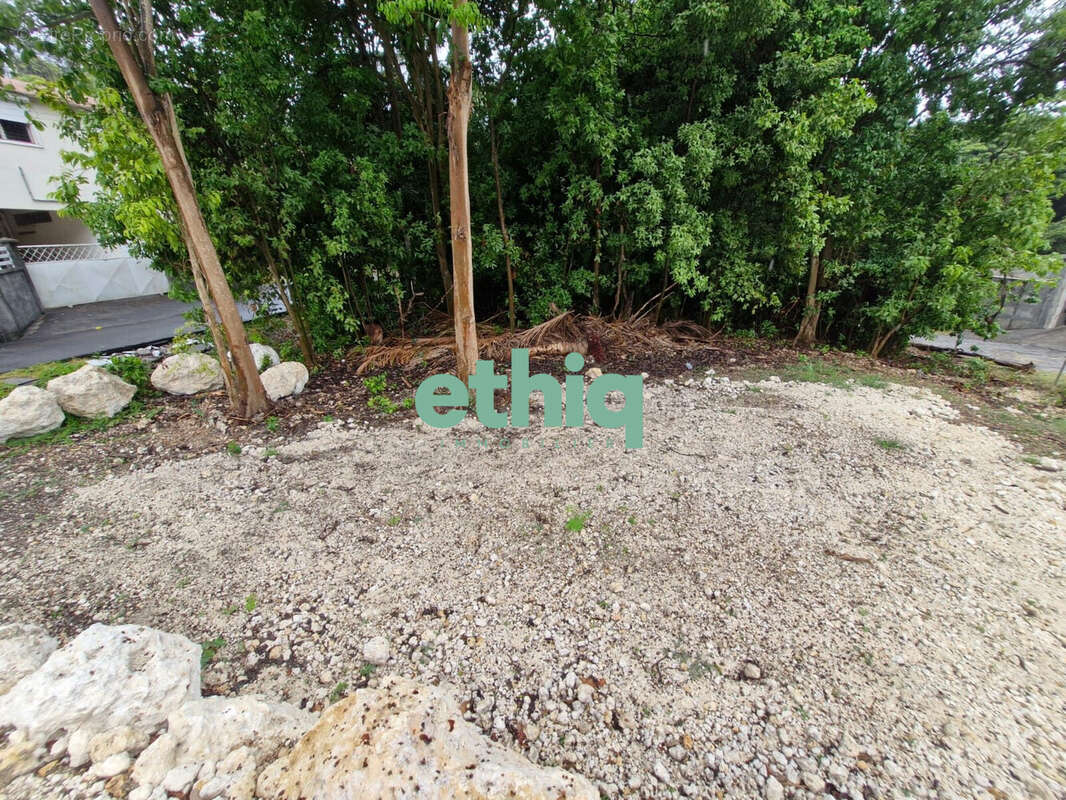 Terrain 362 m² à Le Gosier  - photo 6