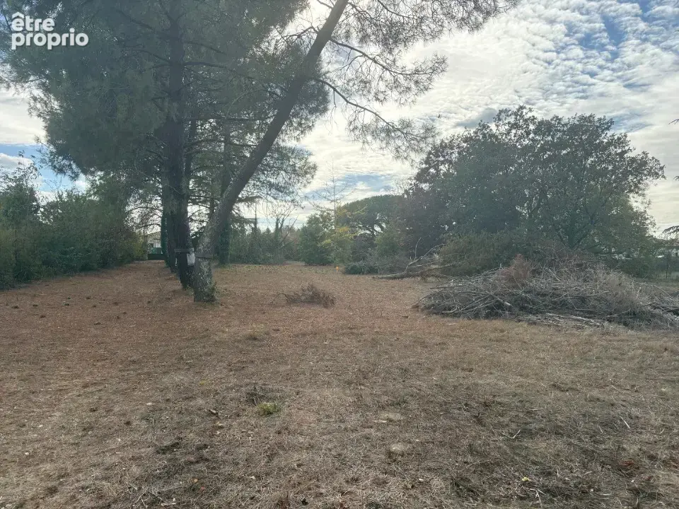 Terrain 736 m² à vendre à Buzet-Sur-Tarn (31660) - photo 3
