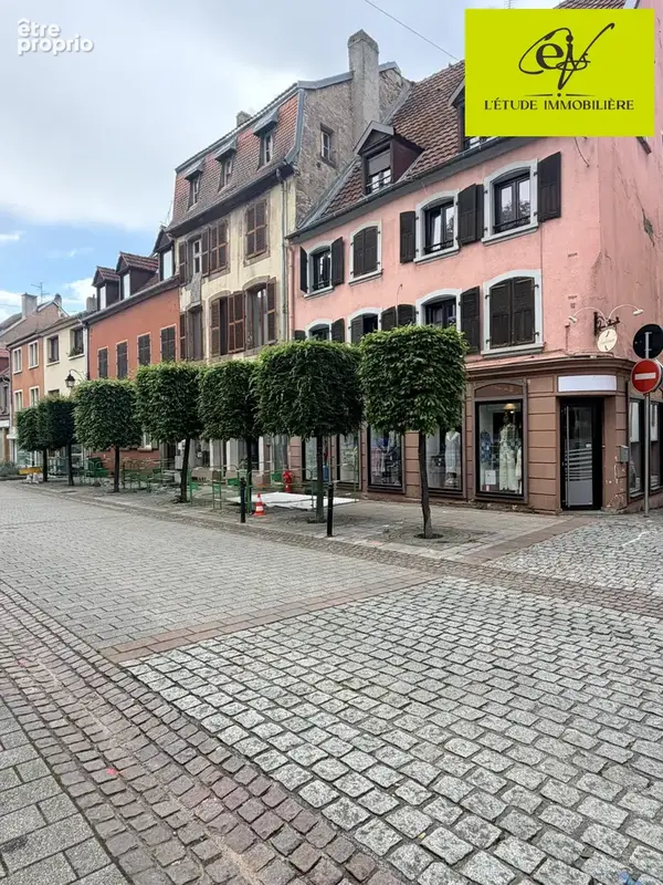 Commerce 47 m² à Sarreguemines  - photo 4